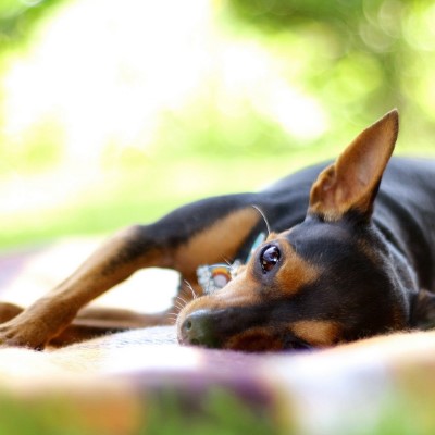 1920 x 1080 HD Wallpapers 3456